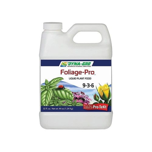 Gallon foliage pro plant - foliage,
